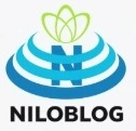 network network